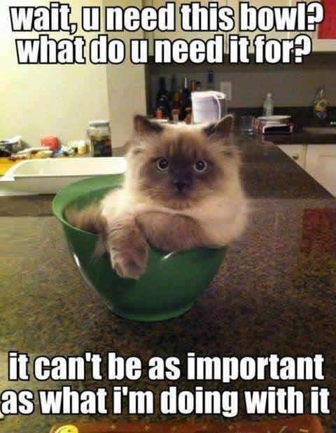 I can take another bowl