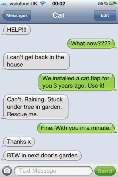 Cat needs help!