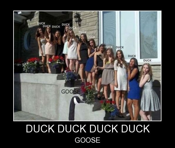 Duck duck duck, what?