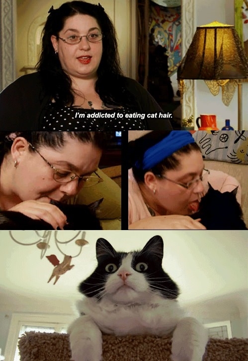 Addicted to eating cat hair