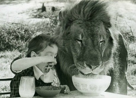 Breakfast of Champions