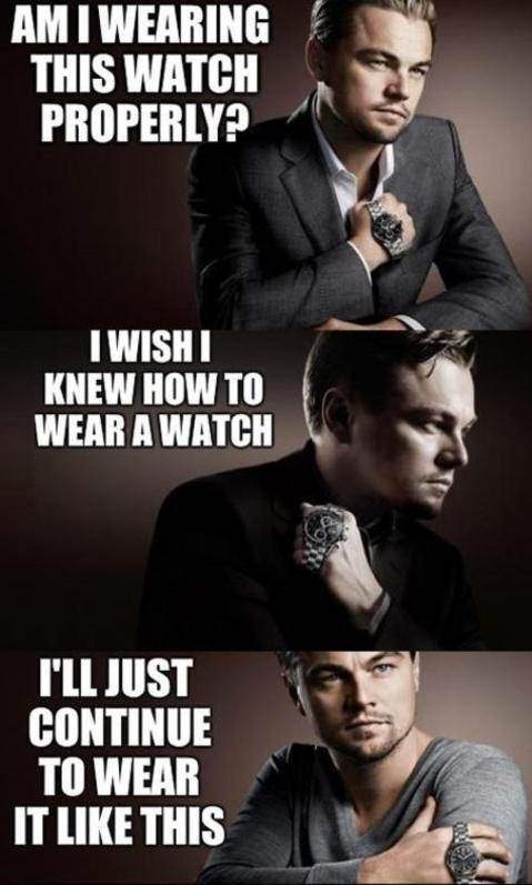 Leo seems confused