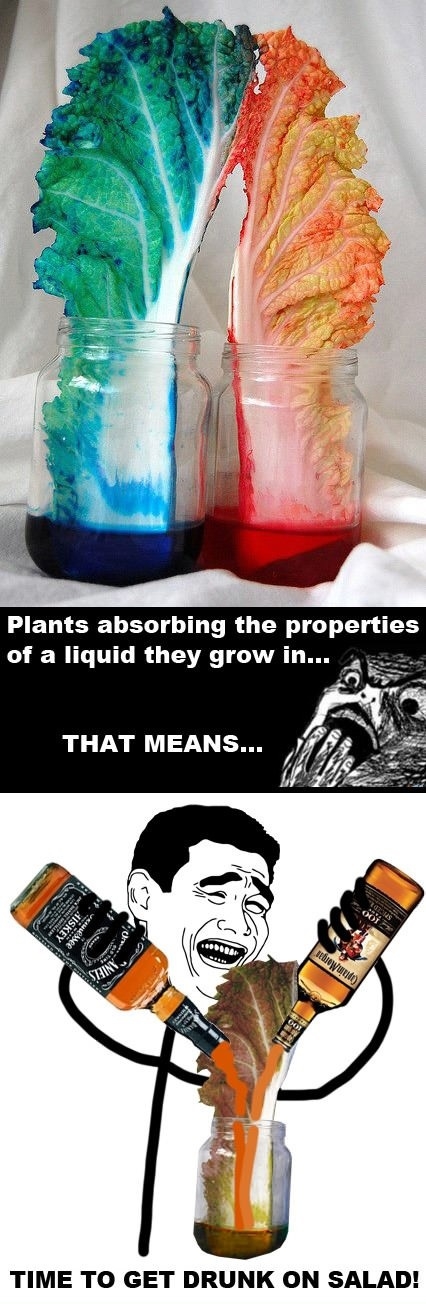 Makes healthy eating easy!