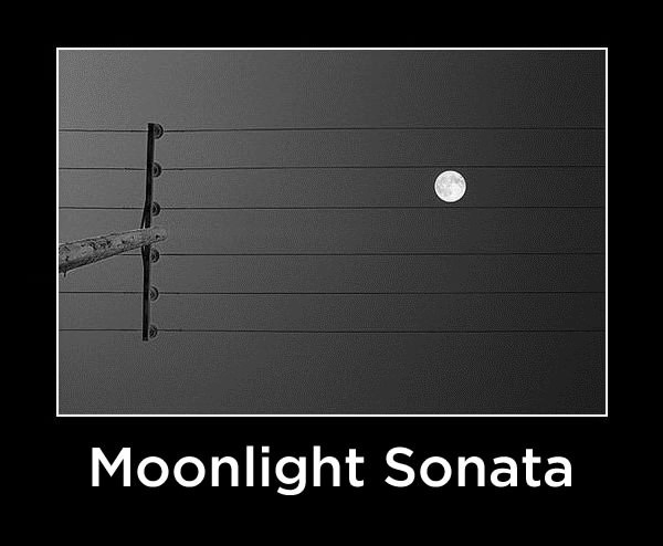 Moonlight Sonata