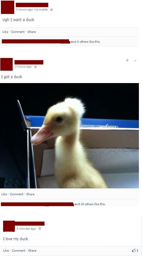 I want a duck