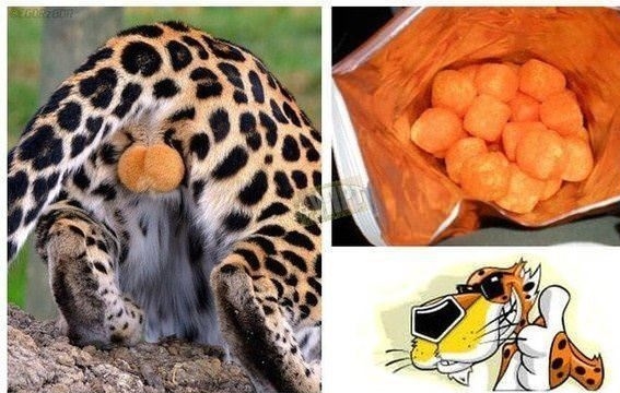 Childhood is destroyed