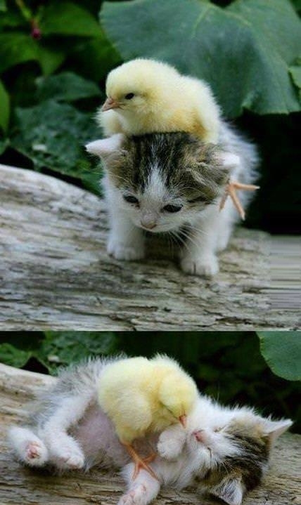 My sweet little friend