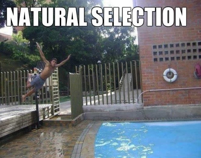 Natural selection