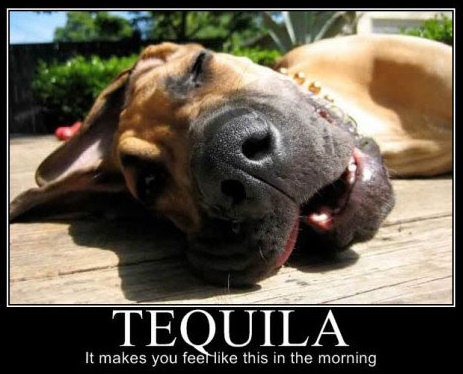 Tequila