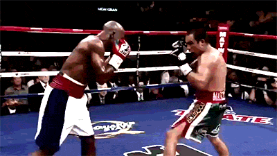 Floyd Mayweather