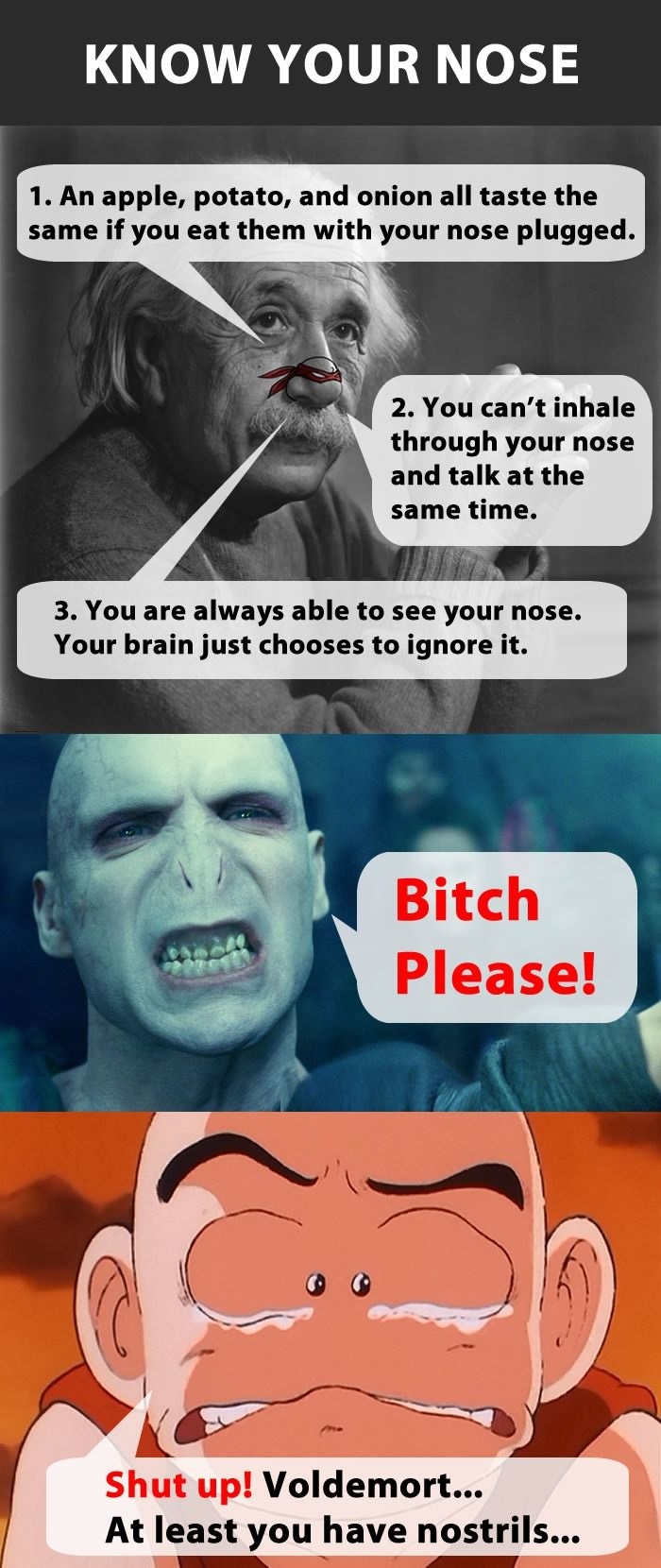 Facts about your nose