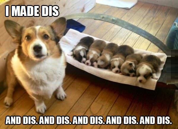 Are you proud master?