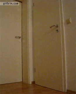 Honey, I'm home..