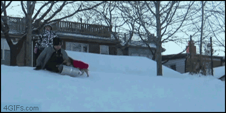 My sled, human!