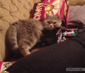 If I fits, I.. wait..1 sec please!