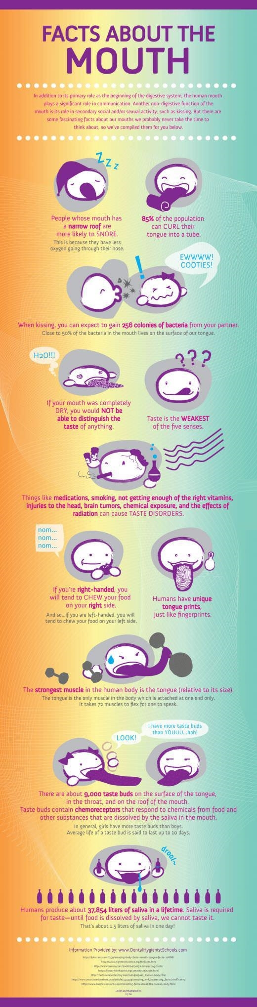Facts about the mouth