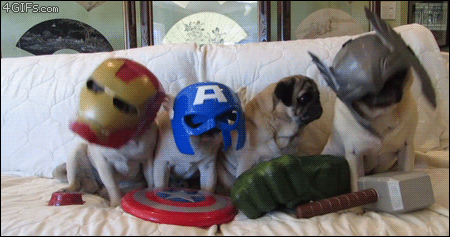 Avendogs