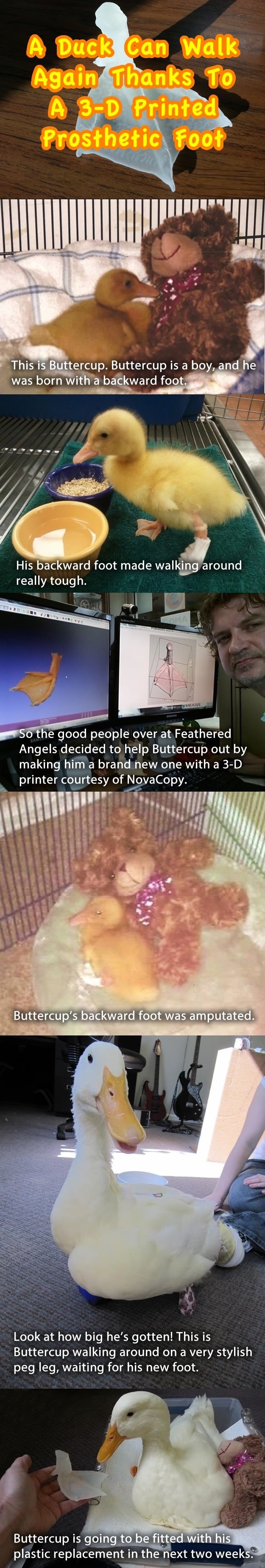 Faith in humanity restored