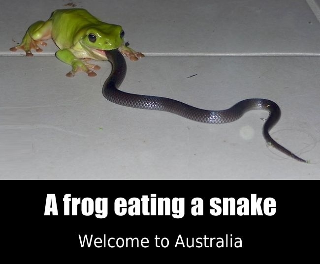Welcome to Australia