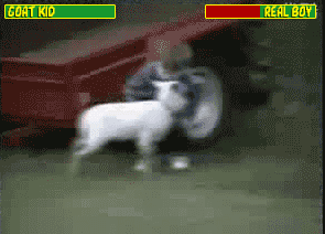 Fatality - Goat vs Real Boy