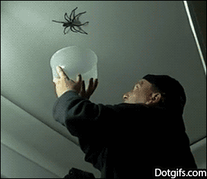 I'd have the same reaction