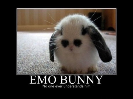 Sad bunny is sad