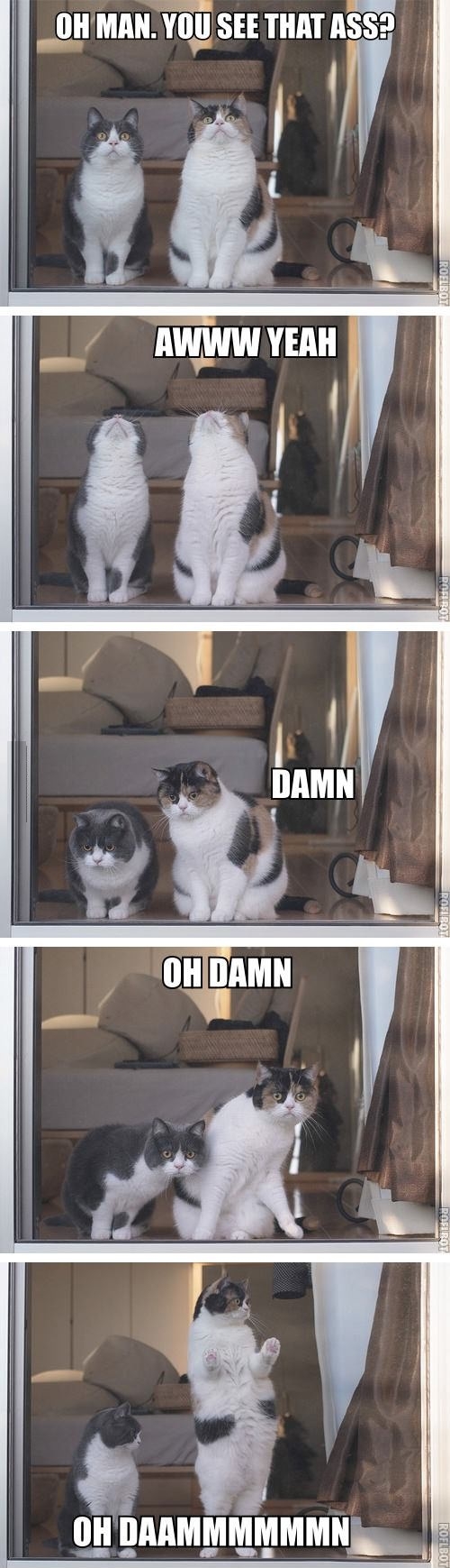 Man, did you see that?