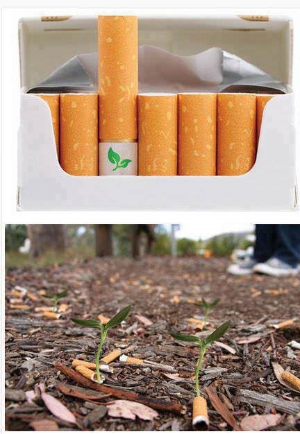 Cigarettes with seeds