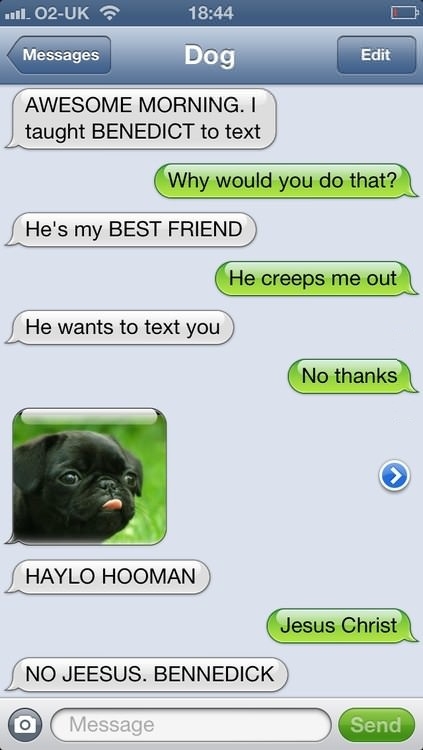 Haylo hooman