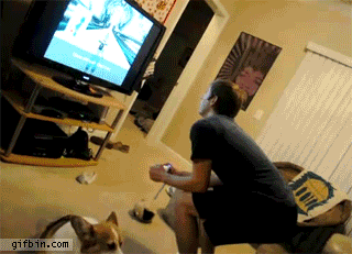 Nice game