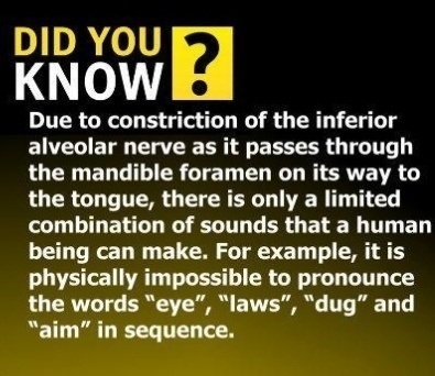 Fun Fact