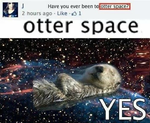 Otter space!