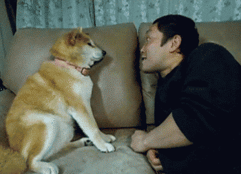 Stop that, human