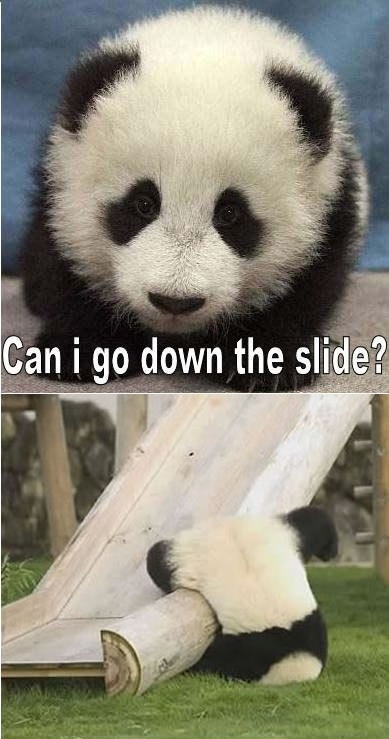 Panda slide