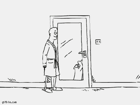 Cat owners' daily routine