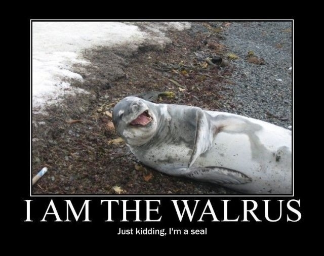 I am the walrus
