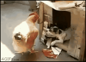 Let's have some privacy