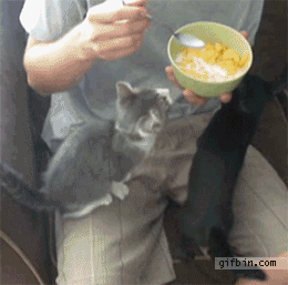 Let me taste that!