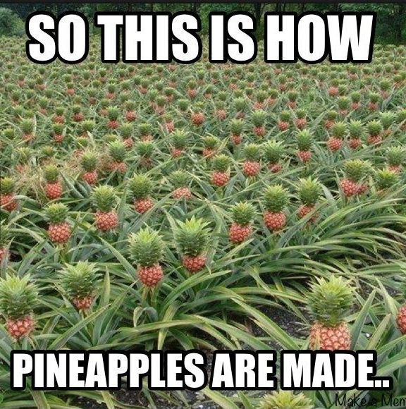 Pineapples