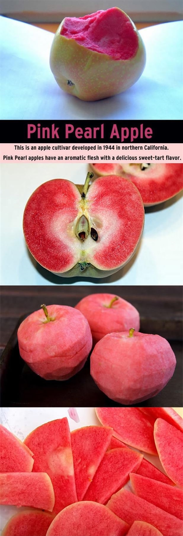 Pink Pearl Apple