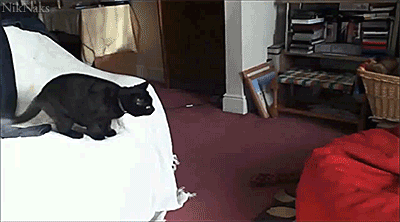At last, the red dot is mine!