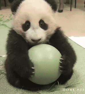 It's my ball.. mine!