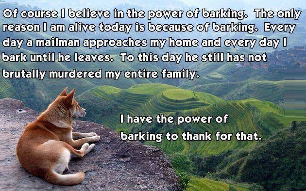 Power of barking