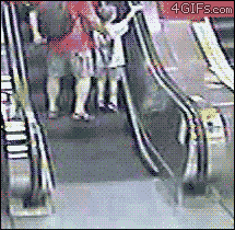 Oh look, a stupid person