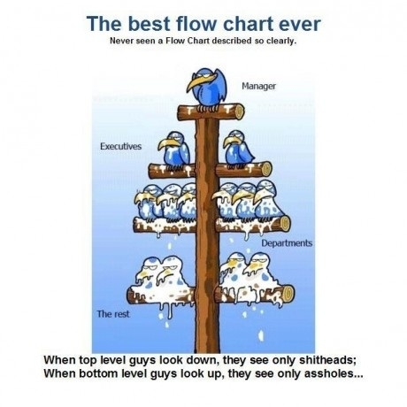 Best flow chart ever