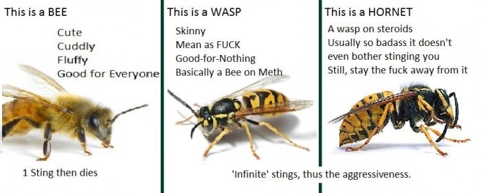 Just for your information