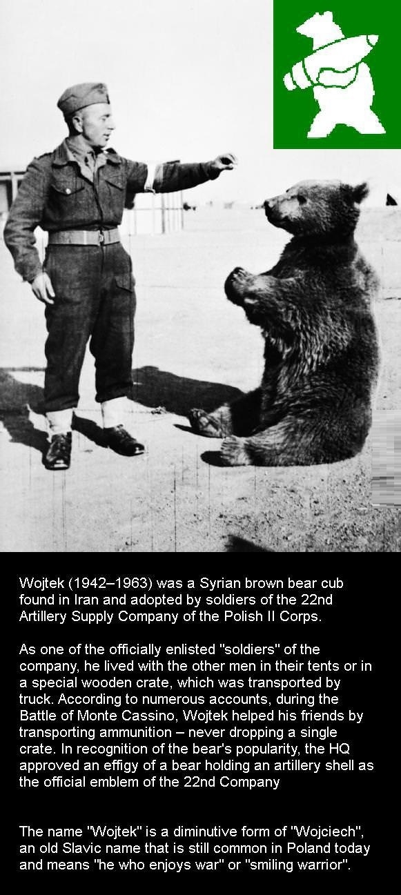 Polish Armed Bear
