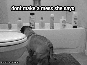 Pug's Life