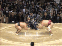 And, fight!