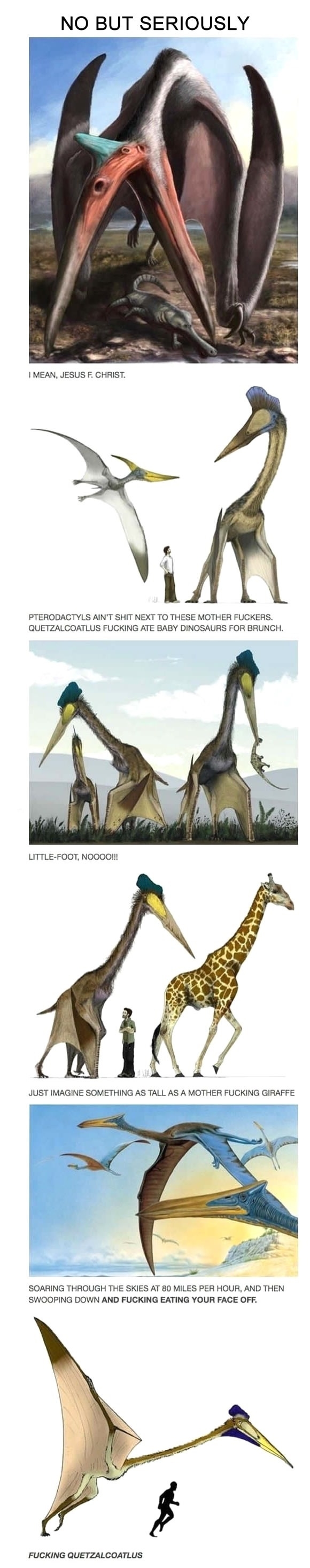 Quetzalcoatlus